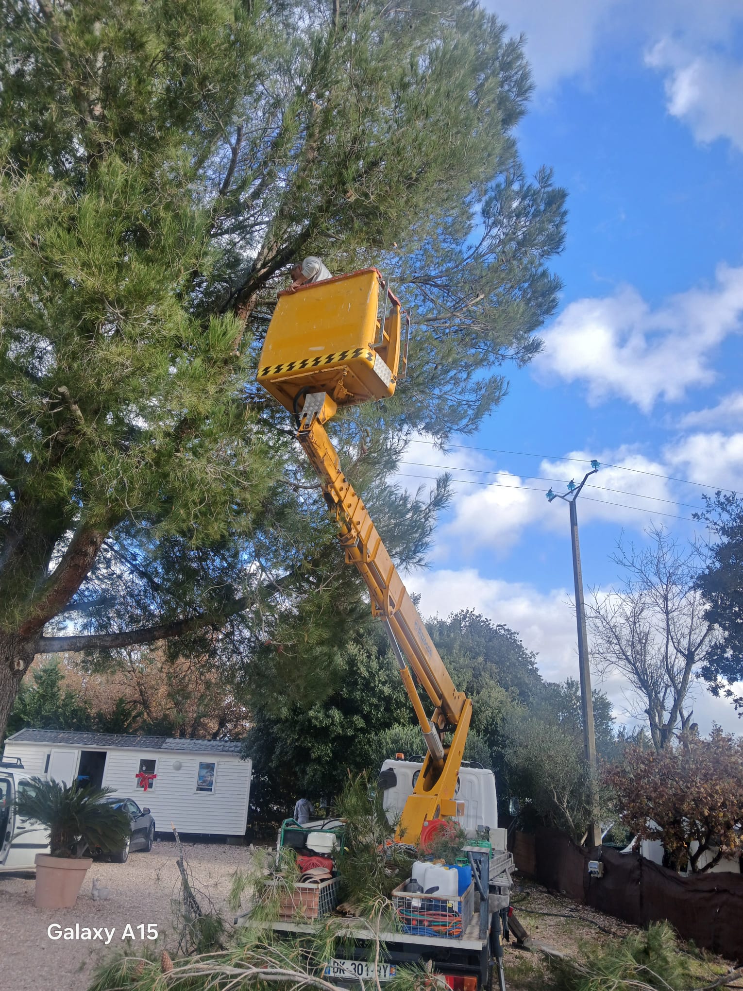 Waeldo avec nacelle professionnelle pour élagage en hauteur dans le Rhône